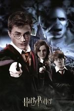 Гарри Поттер и орден Феникса